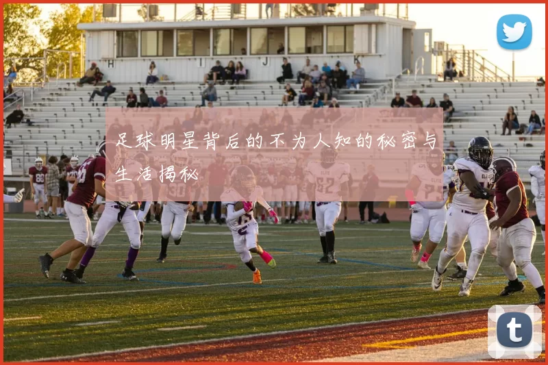 足球明星背后的不为人知的秘密与生活揭秘